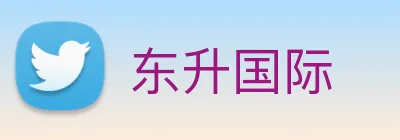东升国际 logo